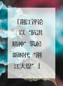 荆江评论：以“抗洪精神”筑起新时代“荆江大堤”