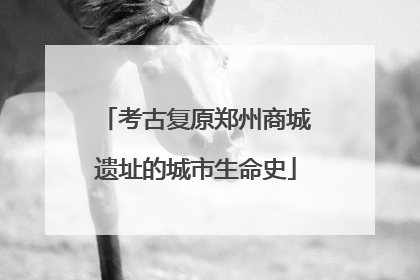 考古复原郑州商城遗址的城市生命史