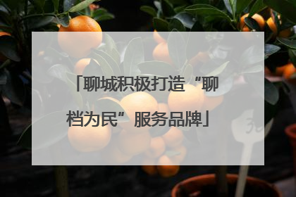 聊城积极打造“聊档为民”服务品牌