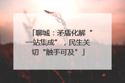 聊城：矛盾化解“一站集成”，民生关切“触手可及”