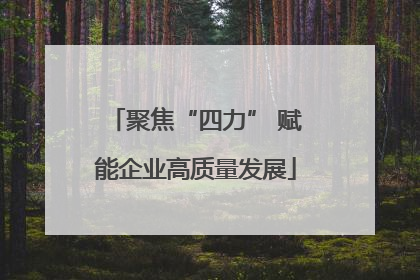 聚焦“四力” 赋能企业高质量发展