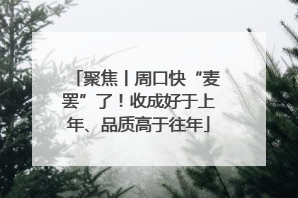 聚焦丨周口快“麦罢”了！收成好于上年、品质高于往年