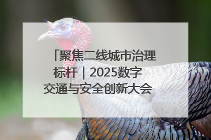 聚焦二线城市治理标杆｜2025数字交通与安全创新大会在保定隆重开幕