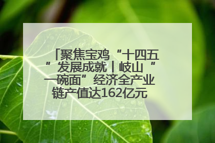 聚焦宝鸡“十四五”发展成就丨岐山“一碗面”经济全产业链产值达162亿元 入选全国典型县