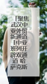 聚焦武汉中亚外贸新通道│中亚班列开辟双通道 哈萨克斯坦饲用小麦将抵鄂