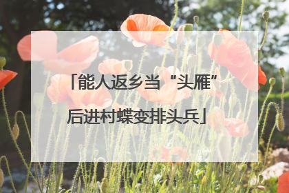 能人返乡当“头雁” 后进村蝶变排头兵