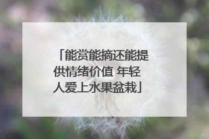 能赏能摘还能提供情绪价值 年轻人爱上水果盆栽