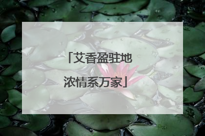 艾香盈驻地 浓情系万家