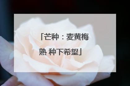 芒种：麦黄梅熟 种下希望