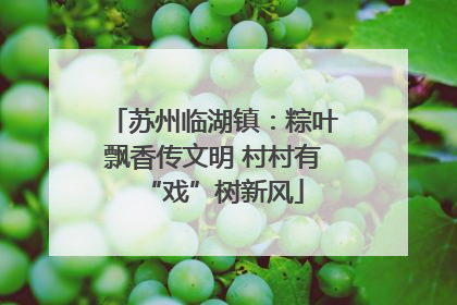 苏州临湖镇：粽叶飘香传文明 村村有“戏”树新风