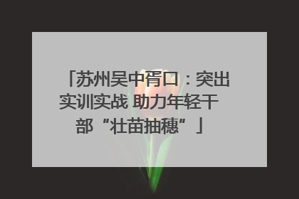 苏州吴中胥口：突出实训实战 助力年轻干部“壮苗抽穗”