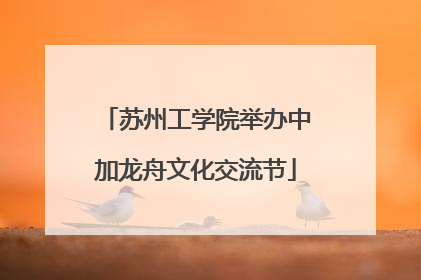 苏州工学院举办中加龙舟文化交流节
