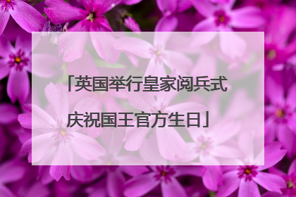 英国举行皇家阅兵式庆祝国王官方生日