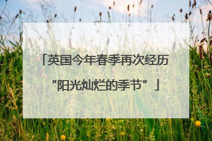 英国今年春季再次经历“阳光灿烂的季节”