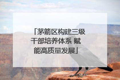 茅箭区构建三级干部培养体系 赋能高质量发展