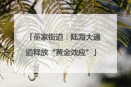 董家街道：陆海大通道释放“黄金效应”