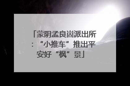 蒙阴孟良崮派出所：“小推车”推出平安好“枫”景