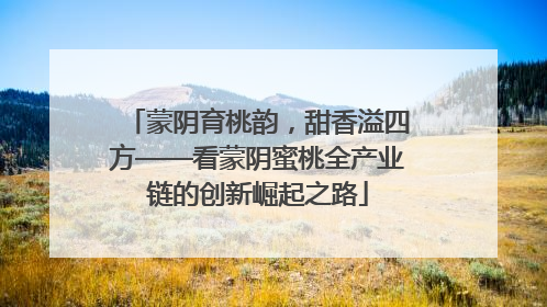 蒙阴育桃韵，甜香溢四方——看蒙阴蜜桃全产业链的创新崛起之路