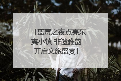 蓝莓之夜点亮东夷小镇 非遗雅韵开启文旅盛宴