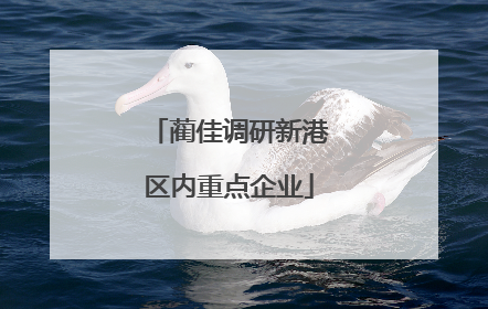 蔺佳调研新港区内重点企业