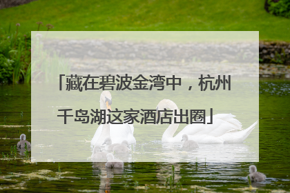 藏在碧波金湾中，杭州千岛湖这家酒店出圈