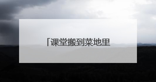 课堂搬到菜地里，解锁“劳动+科学”新课程