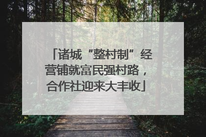 诸城“整村制”经营铺就富民强村路，合作社迎来大丰收