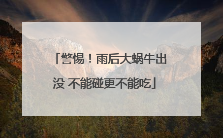 警惕！雨后大蜗牛出没 不能碰更不能吃