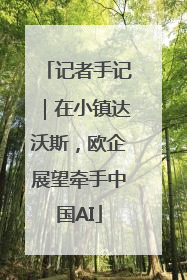 记者手记｜在小镇达沃斯，欧企展望牵手中国AI