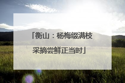 衡山：杨梅缀满枝 采摘尝鲜正当时