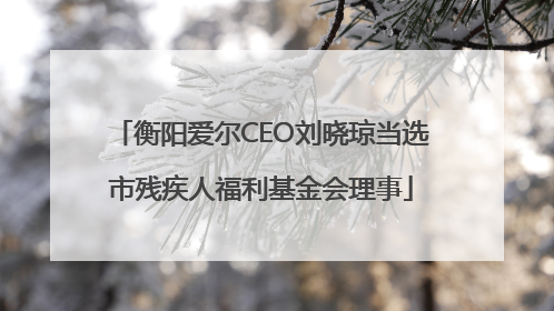 衡阳爱尔CEO刘晓琼当选市残疾人福利基金会理事
