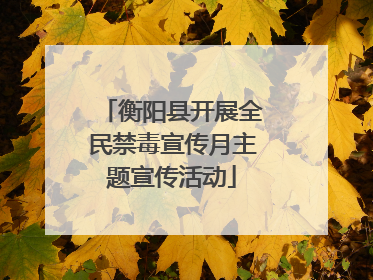 衡阳县开展全民禁毒宣传月主题宣传活动
