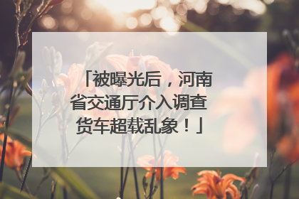 被曝光后，河南省交通厅介入调查货车超载乱象！