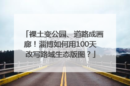 裸土变公园、道路成画廊！淄博如何用100天改写路域生态版图？