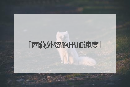 西藏外贸跑出加速度