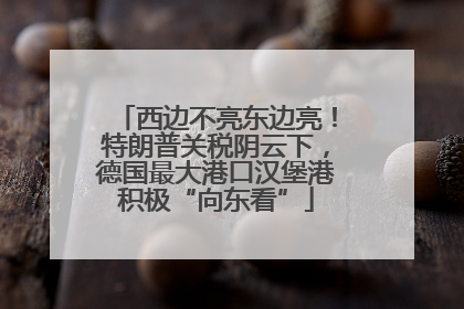 西边不亮东边亮！特朗普关税阴云下，德国最大港口汉堡港积极“向东看”