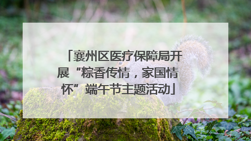 襄州区医疗保障局开展“粽香传情，家国情怀”端午节主题活动
