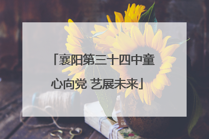 襄阳第三十四中童心向党 艺展未来