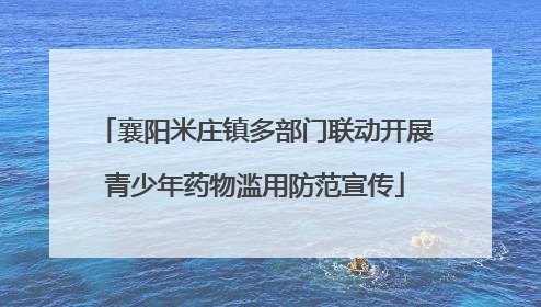 襄阳米庄镇多部门联动开展青少年药物滥用防范宣传