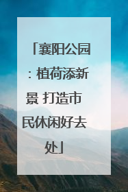 襄阳公园：植荷添新景 打造市民休闲好去处