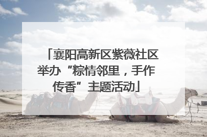 襄阳高新区紫薇社区举办“粽情邻里，手作传香”主题活动