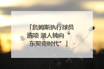 詹姆斯执行球员选项 湖人转向“东契奇时代”