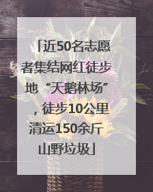 近50名志愿者集结网红徒步地“天鹅林场”，徒步10公里清运150余斤山野垃圾