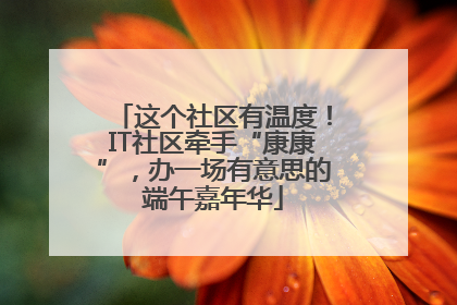 这个社区有温度！IT社区牵手“康康”，办一场有意思的端午嘉年华