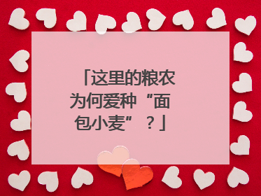 这里的粮农为何爱种“面包小麦”？