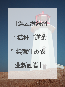 连云港海州：秸秆“逆袭”绘就生态农业新画卷