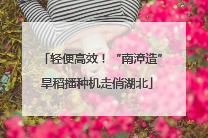轻便高效！“南漳造”旱稻播种机走俏湖北