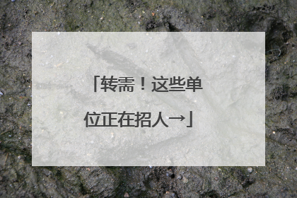 转需！这些单位正在招人→