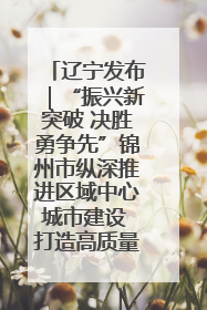 辽宁发布｜“振兴新突破 决胜勇争先”锦州市纵深推进区域中心城市建设 打造高质量发展新增长极