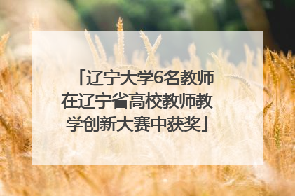 辽宁大学6名教师在辽宁省高校教师教学创新大赛中获奖